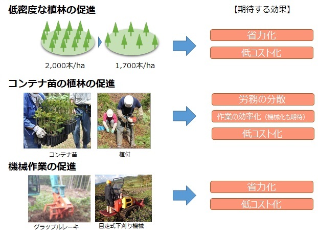 低コスト化・省力化のポイント