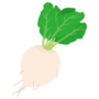 てん菜.png