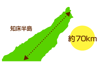 知床の広さ