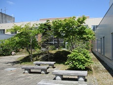 中庭