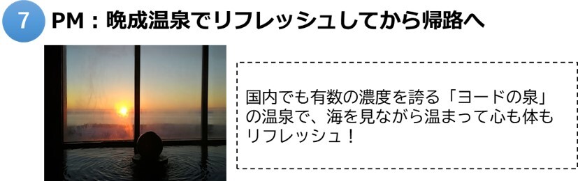 大樹7.jpg