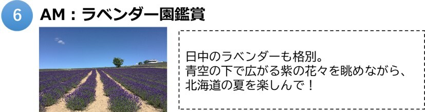 上富良野町6.jpg