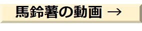 馬鈴薯の動画.jpg