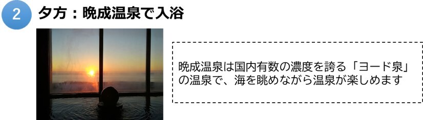 大樹2.jpg
