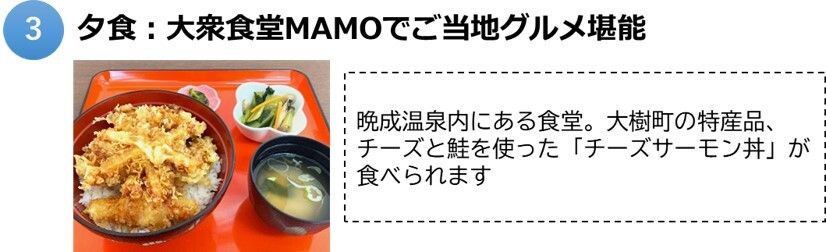 大樹3.jpg