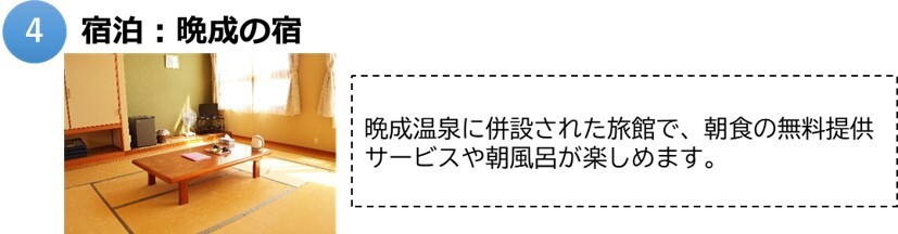 大樹4.jpg