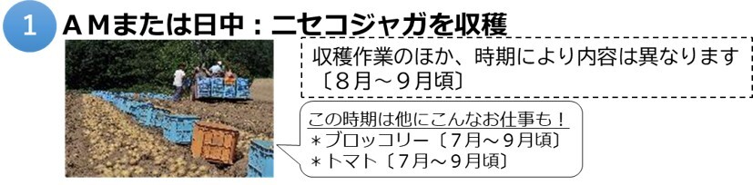 ニセコ1.jpg