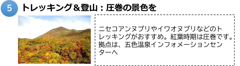 ニセコ5.jpg