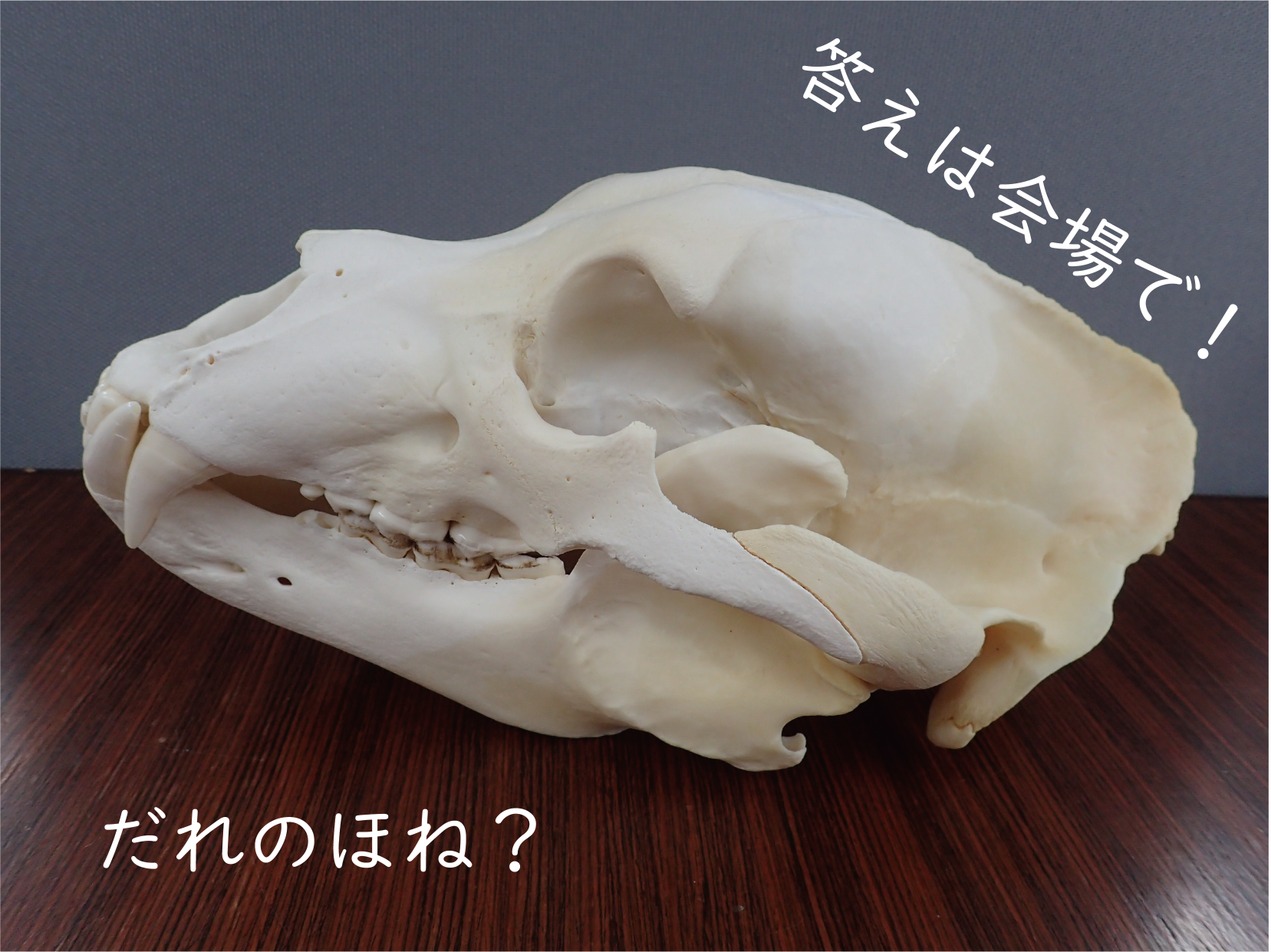エネ環地研