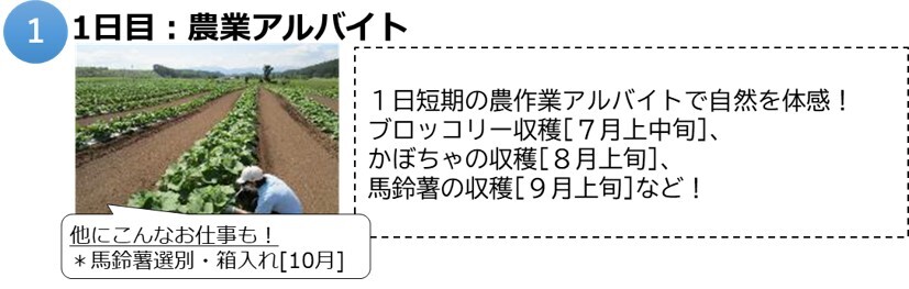 上富良野町10821修正.jpg