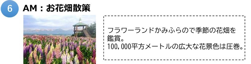上富良野町6.jpg
