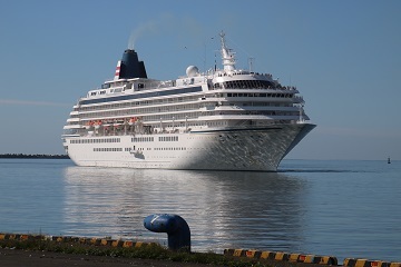 IMG_36053.jpg