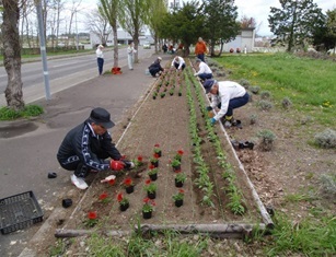 image_46kobushikensetsu_hana2.jpg