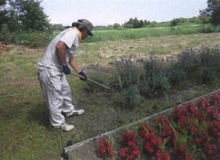 image_46kobushikensetsu_kusakari.jpg