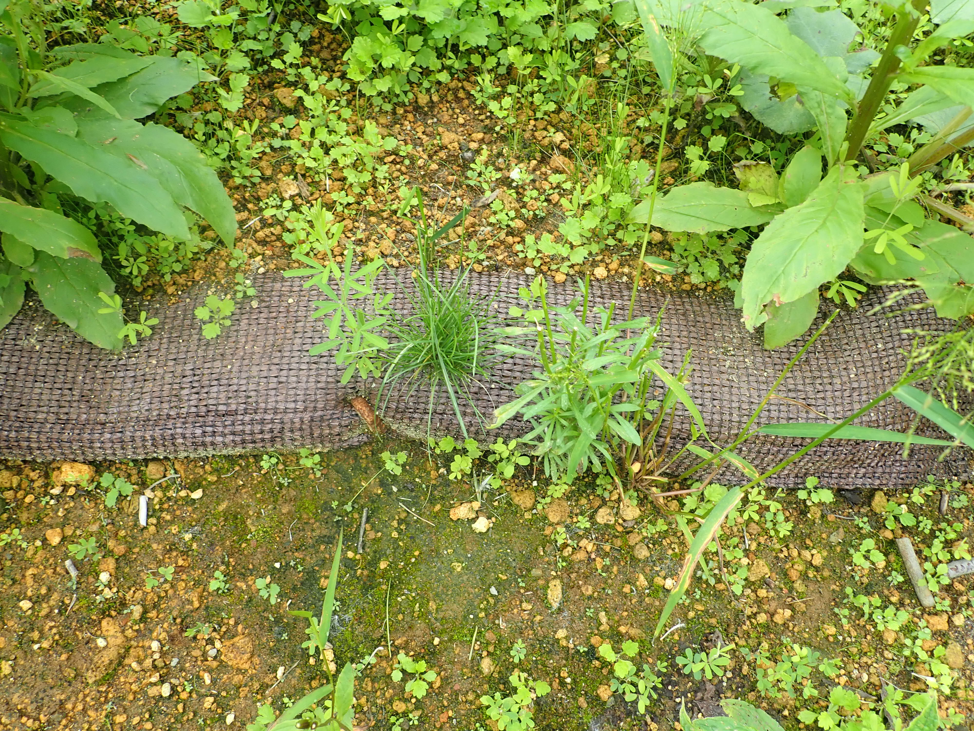 軽量化筋工