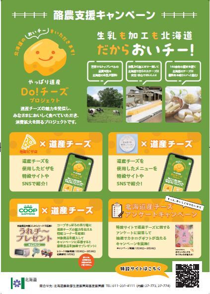 キャンペーンちらし