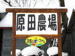 04_015_p.JPG