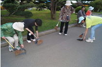 過去の取組