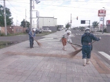 過去の取組