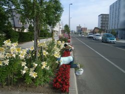 過去の取組