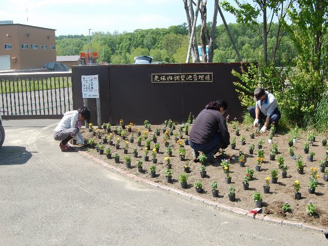 image_041kisimotogumi_hana3.JPG