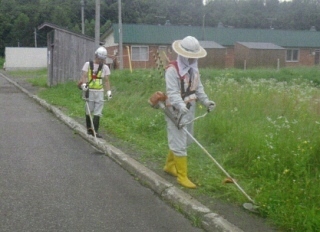 image_50tanigumi_kusakari.jpg