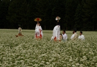 image_56nakatukakensetu5.jpg