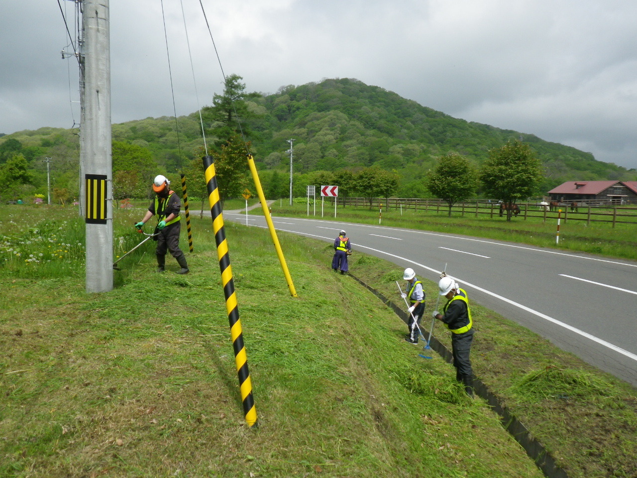 image_61teduka_josou.JPG