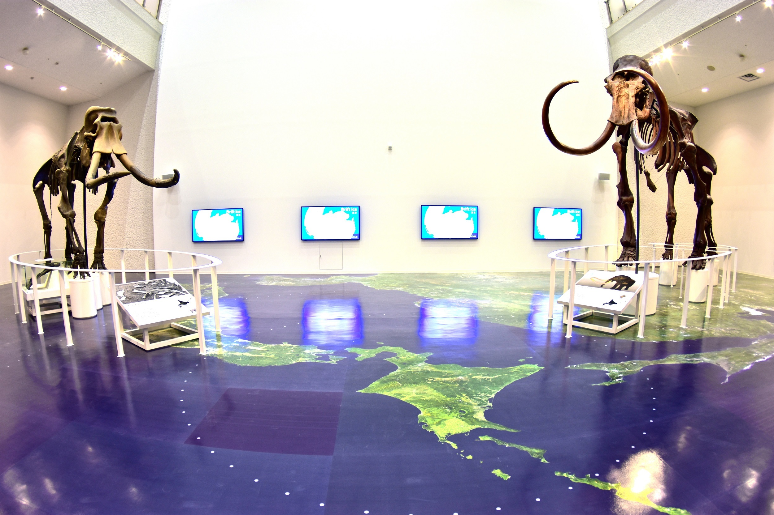 01総合展示プロローグ.jpg