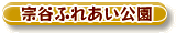 t_s_05.gif
