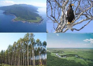表紙画像：釧路根室