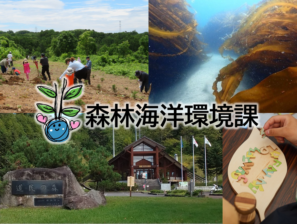 図2.png
