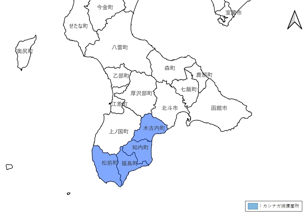 kasinagaseisoku