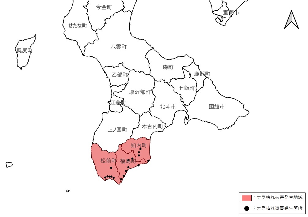 higaizumen