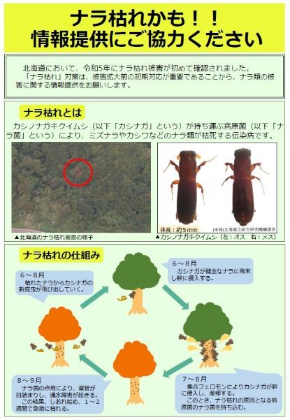 poster1