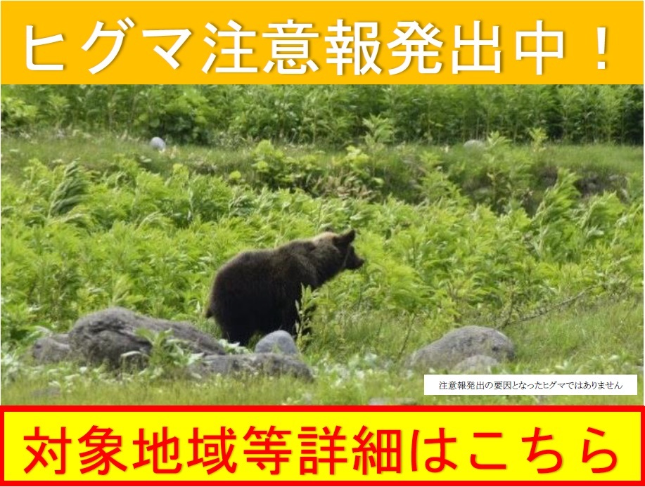 ヒグマ注意報発出中！対象地域等詳細はこちら