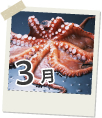 3月