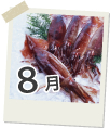 8月