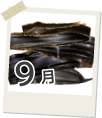 9月