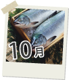 10月