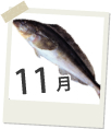 11月