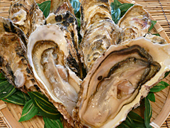 寿都町漁協
