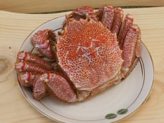 落石漁協