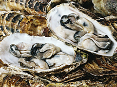 湧別漁協