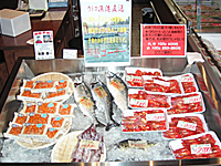 ウトロ漁協