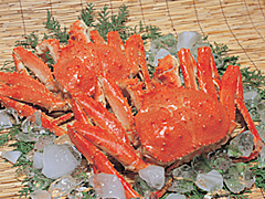 網走漁協