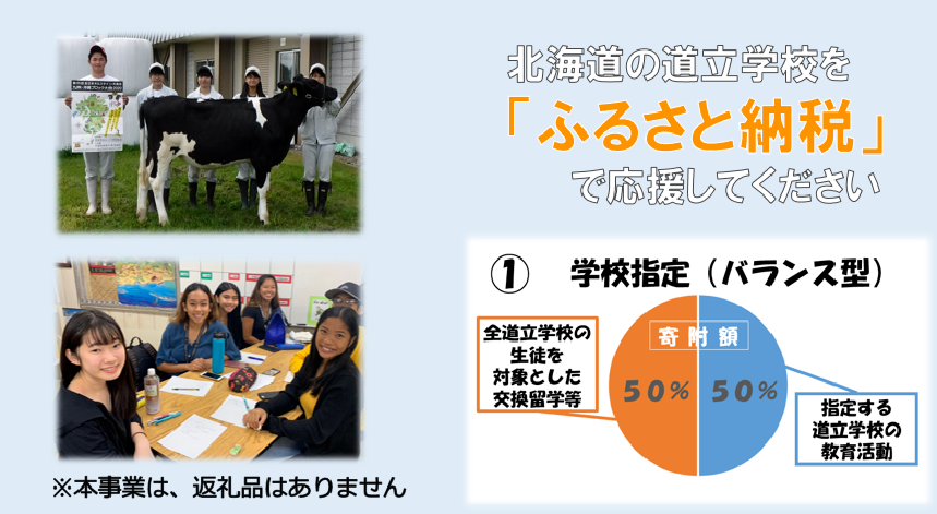 バランス型