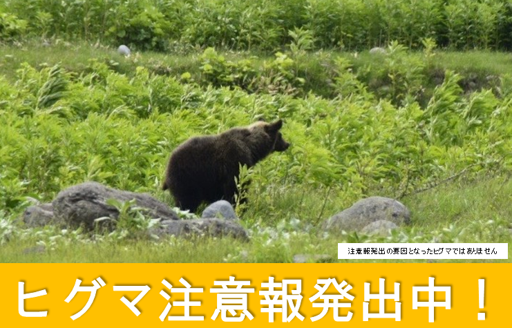 ヒグマ注意報発出中！