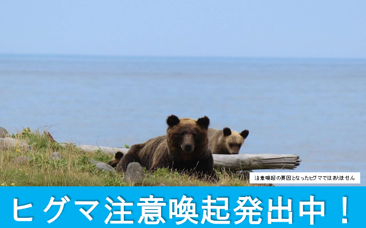 ヒグマ注意喚起発出中！