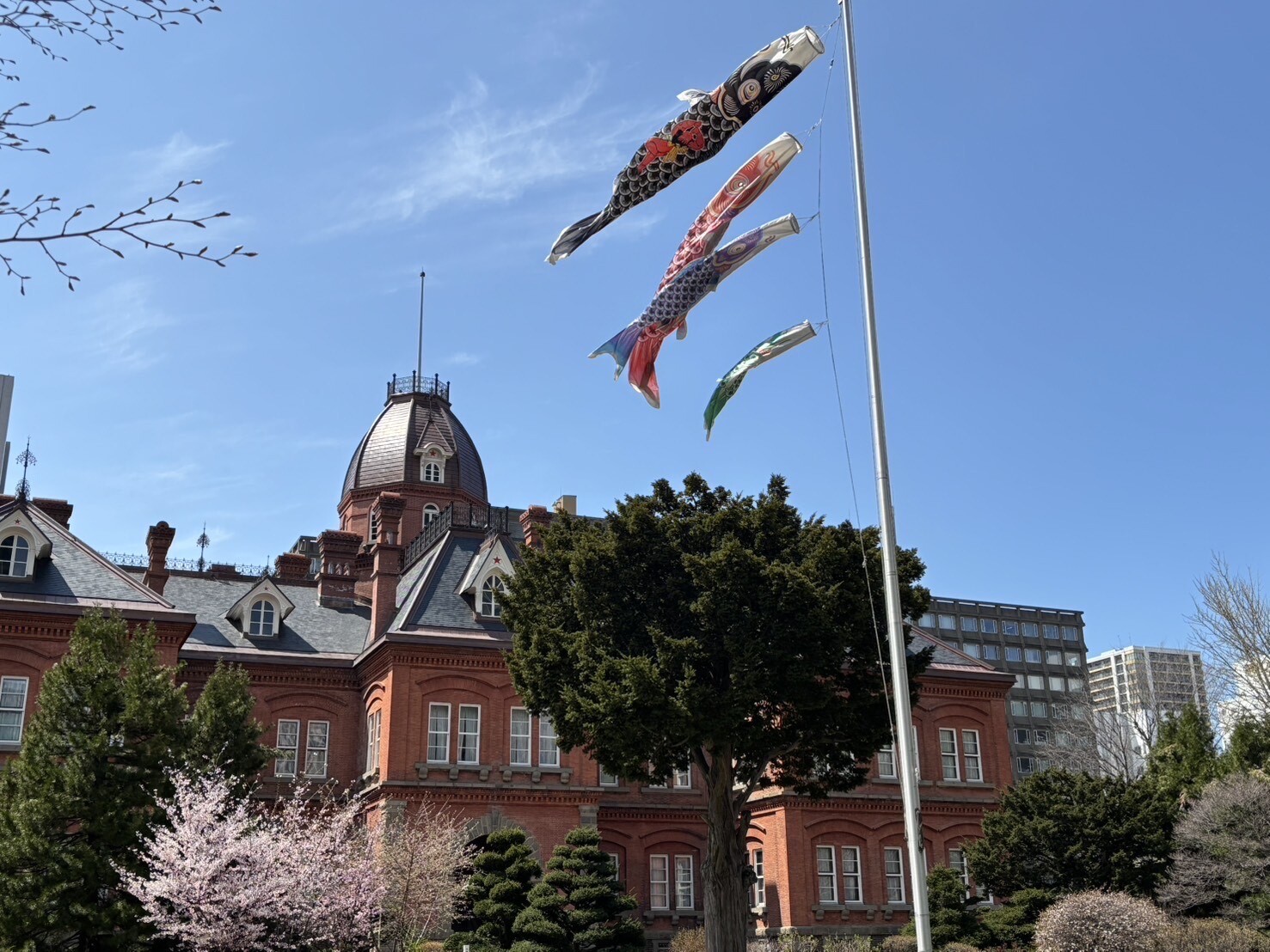 鯉のぼり